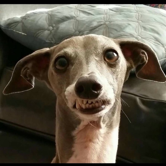 Meet your Posher, Michelle - Picture 1 of 1